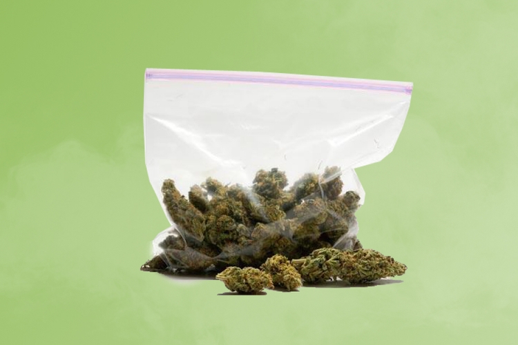 Weed Measurements: What's a Zip of Weed?