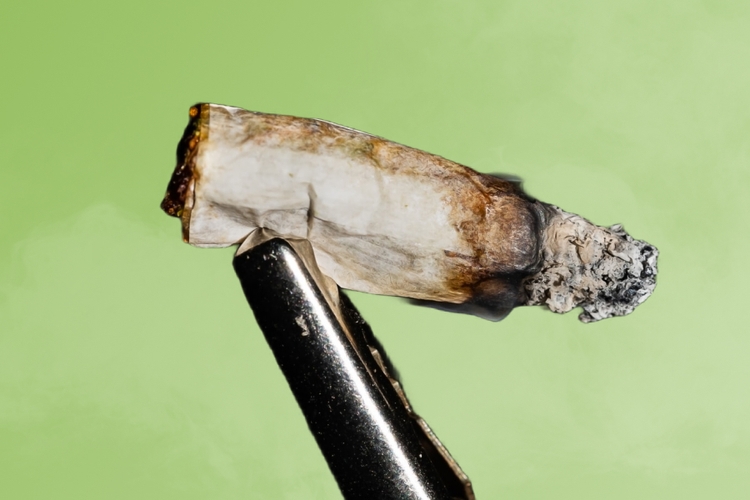 Weed Roaches: What is a Marijuana Roach?