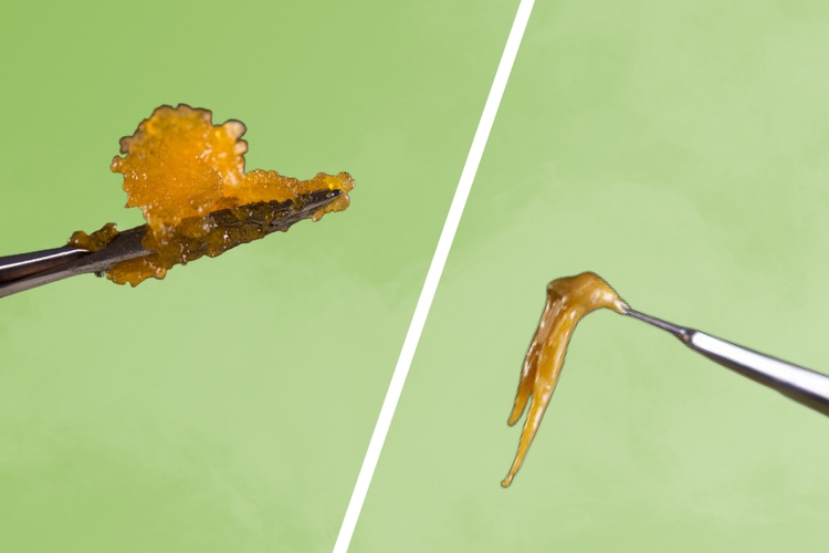 Live Resin Vs Rosin: A Tale Of Two Concentrates