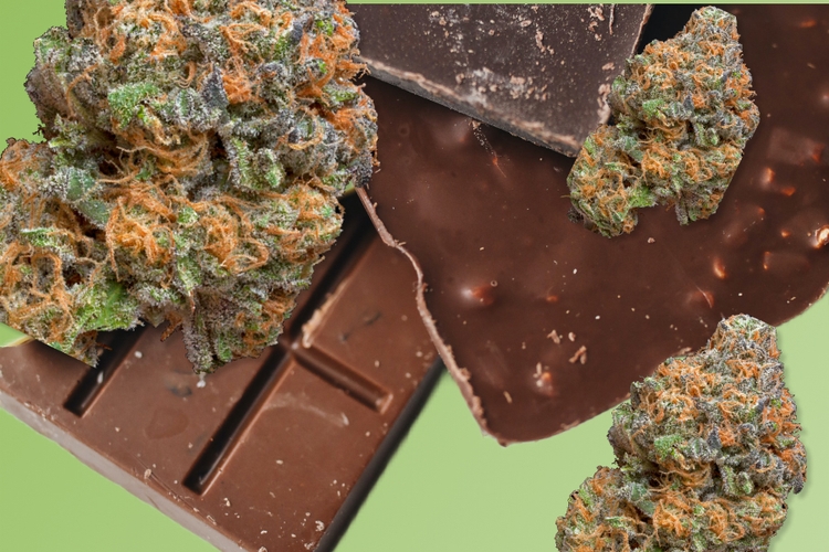 Yum: The Best Weed Chocolate Edibles In Toronto?
