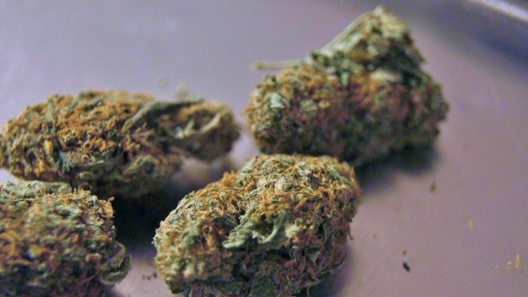 Brown Weed — The Guide To All The Reasons Behind The Color