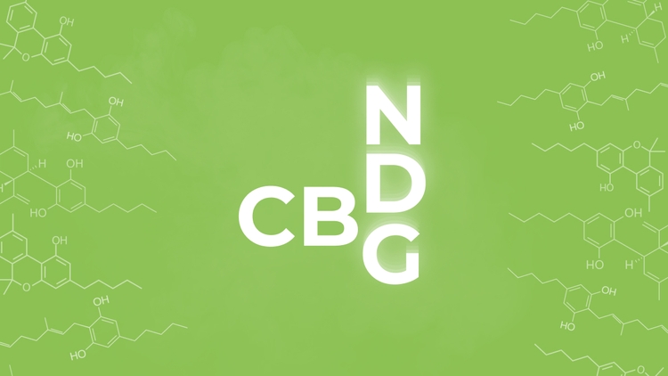 Know Your Cannabinoids: CBD Vs CBG Vs CBN