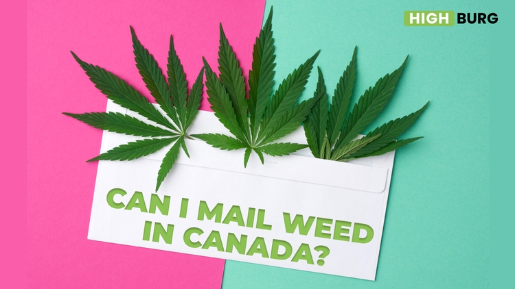 Can I Mail Weed In Canada And How?