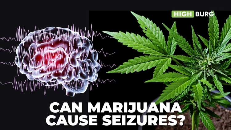 Can Marijuana Cause Seizures?