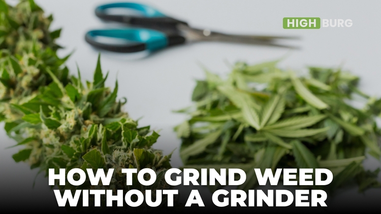 How To Grind Weed Without a Grinder; A Step by Step Guide