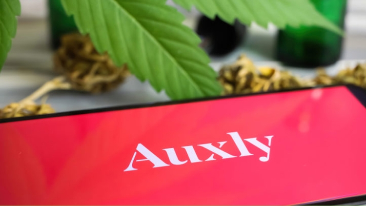 Auxly Cannabis Reports Record Revenue and Margins