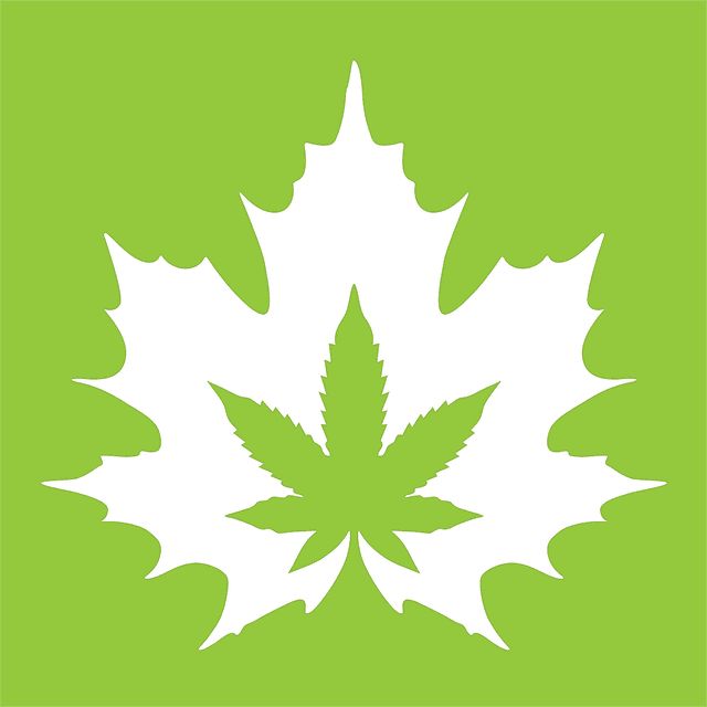 The House of Cannabis - Downtown Kitchener | Dispensary