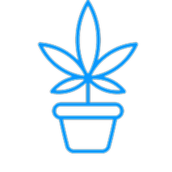 Flower Pot - Cannabis store