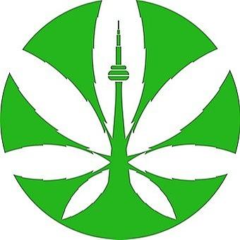 Toronto Cannabis Culture