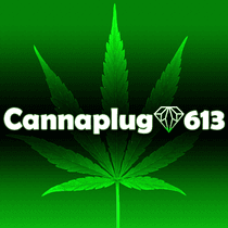 CannaPlug 613