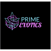 PRIME EXOTICS ⬇️ 1HR 247