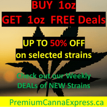 Premium Canna Express