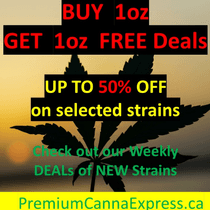 Premium Canna Express