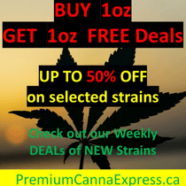 Premium Canna Express