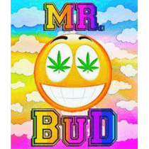 MrBud