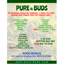 PURE BUDS - BRANTFORD