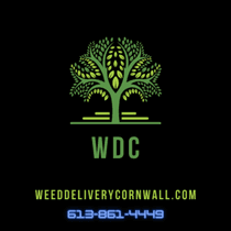 WeedDeliveryCornwall