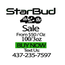 StarBud