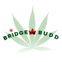 Bridgebudd519