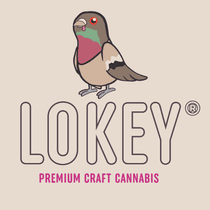 Lokey