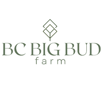 Bcbigbudfarm