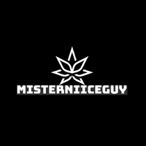 MISTERNIICEGUY