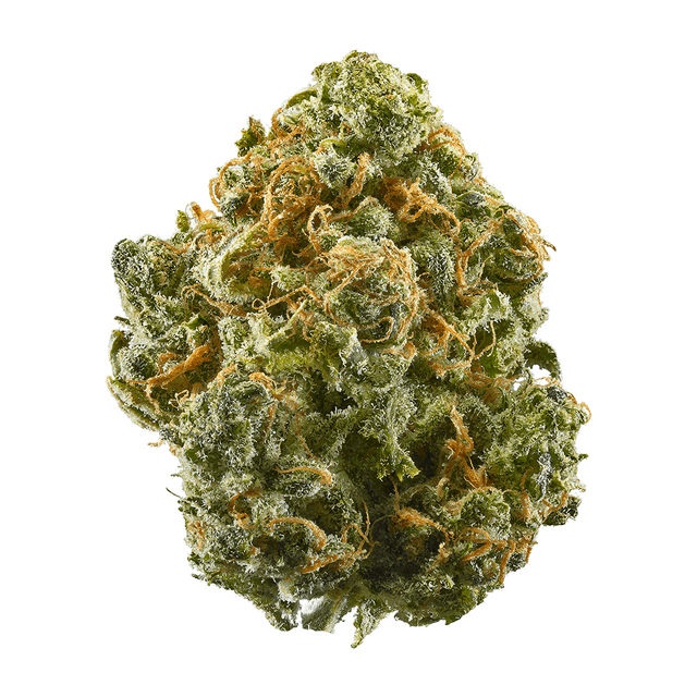 strain-euphoria-cookies-logo-image