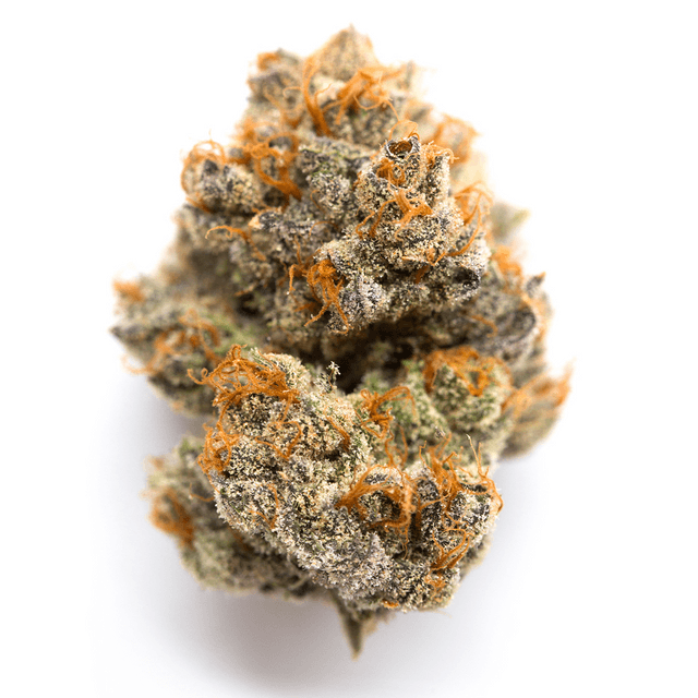 strain-blue-widow-logo-image