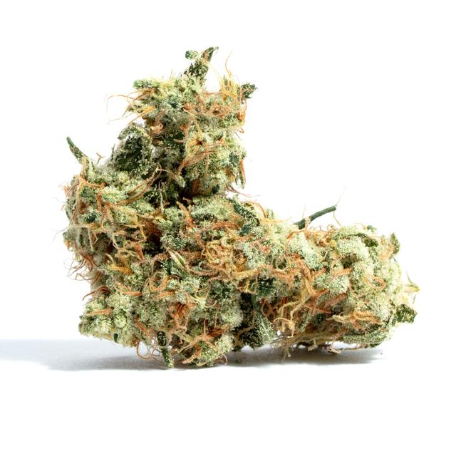 strain-dutch-treat-haze-logo-image