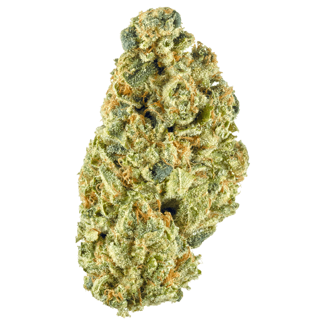 strain-headband-logo-image