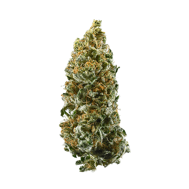 strain-tora-bora-logo-image