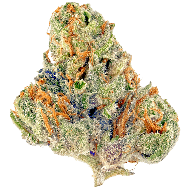 strain-snow-goddess-logo-image