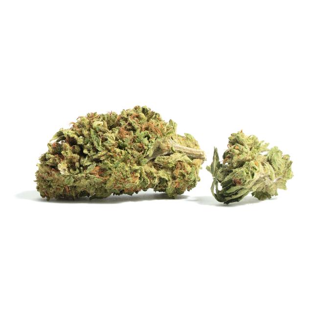 strain-lemon-garlic-og-logo-image