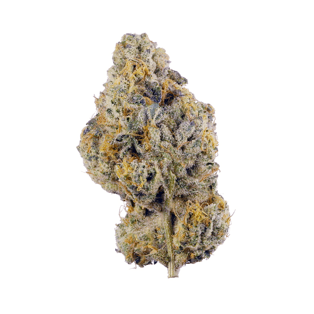 strain-mint-chip-gelato-logo-image