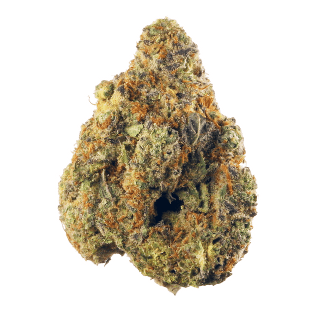 strain-twista-logo-image