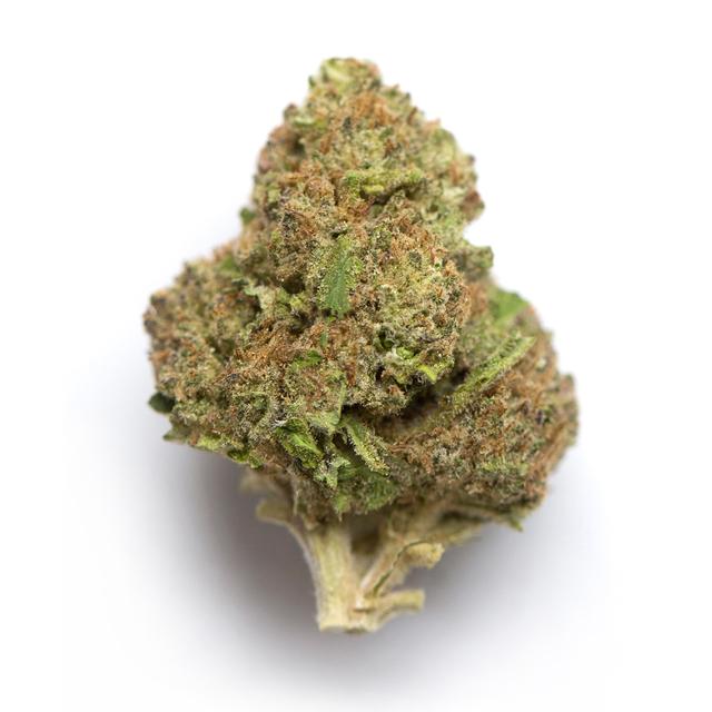 strain-blue-diesel-logo-image