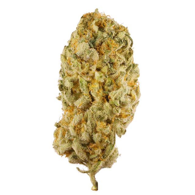strain-jack-herer-logo-image
