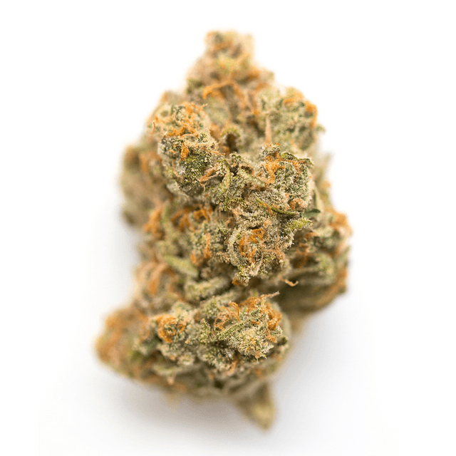 strain-grape-gasoline-logo-image