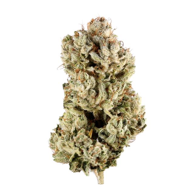 strain-gg4-logo-image