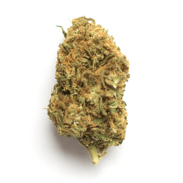 strain-cbd-rich-blessing-logo-image