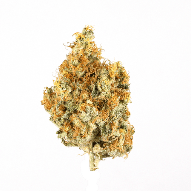 strain-tommy-s-home-grown-logo-image