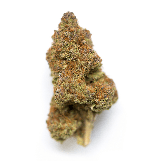 strain-bordello-logo-image