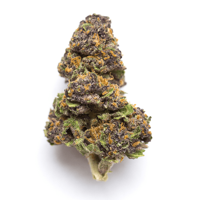 strain-drew-logo-image