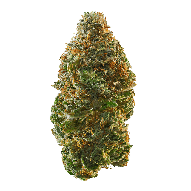 strain-topanga-og-logo-image