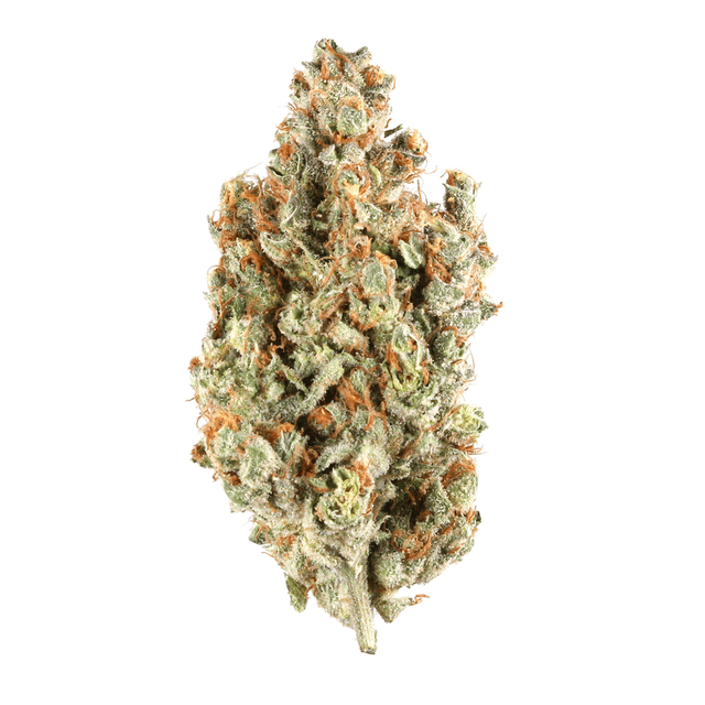 strain-diesel-cake-logo-image