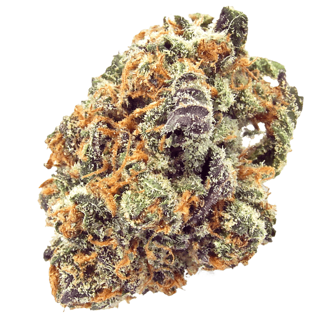 strain-mimosa-logo-image