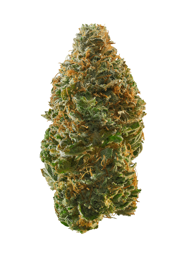 strain-lemon-sorbet-3-logo-image