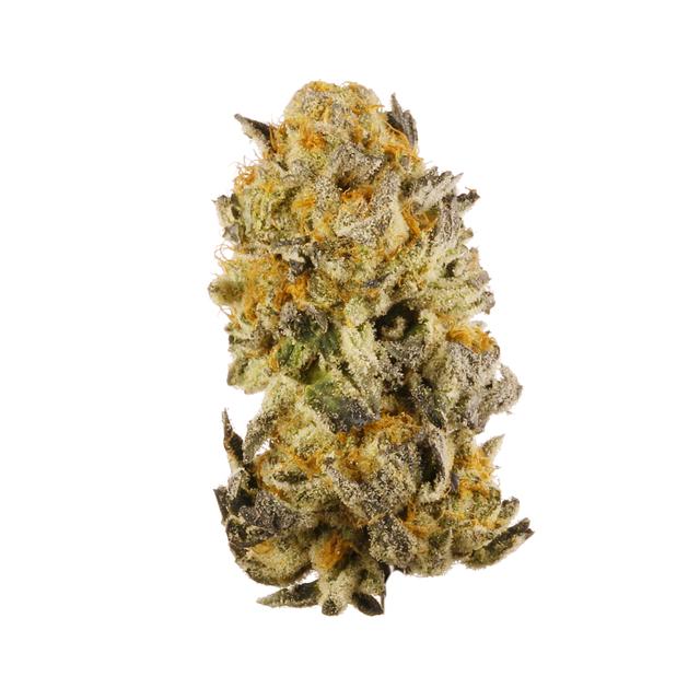 strain-platinum-cookies-logo-image