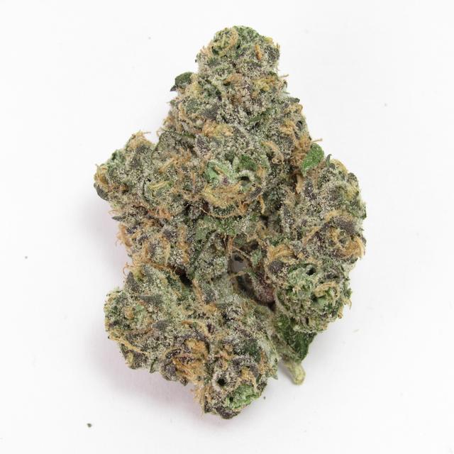 strain-blackberry-gary-logo-image