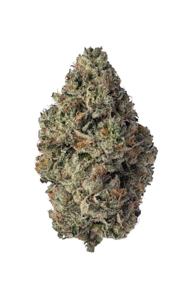 strain-bernie-hanabutter-logo-image